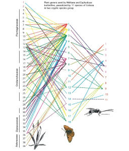 Ecology, biological Control and evolution in agricultural systems     Jervis, M.A. Kidd, N.A.C., Mills, N.J., van Nouhuys, S.Singh, A., Yazdani,...     Read More